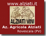 sponsor_alziati_sito